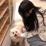 开罗金字塔王国物语游戏下载